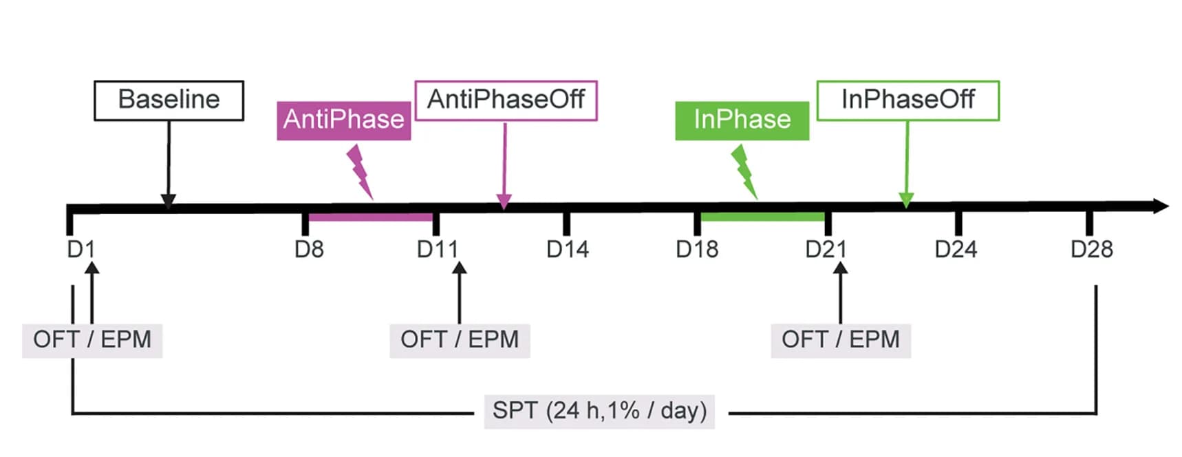 Open access visualization of Workflow, Experiment Schema, Stimulation, OFF Days