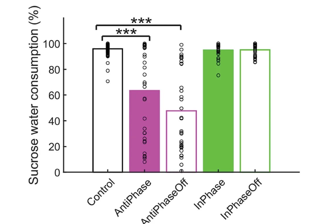 Open access visualization of Bar Plot, Error Bars, Scatter Plot, Anti-phase Stimulation, Sucrose Water Preference