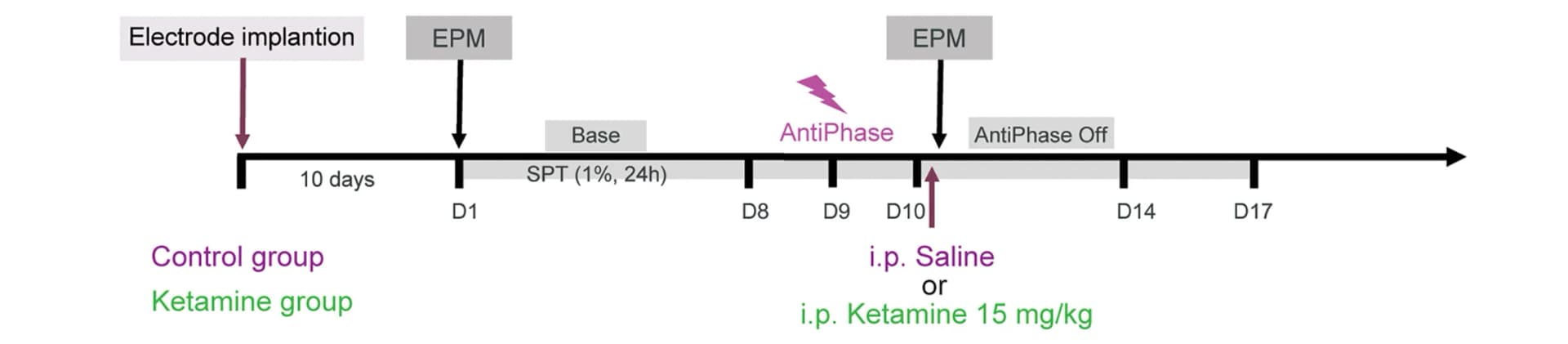 Open access visualization of Workflow, Flowchart, Experiment