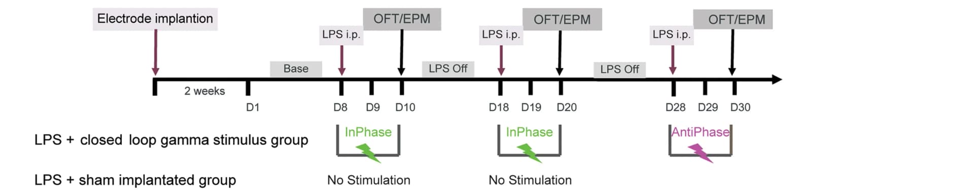 Open access visualization of Workflow, Illustration, Experiment