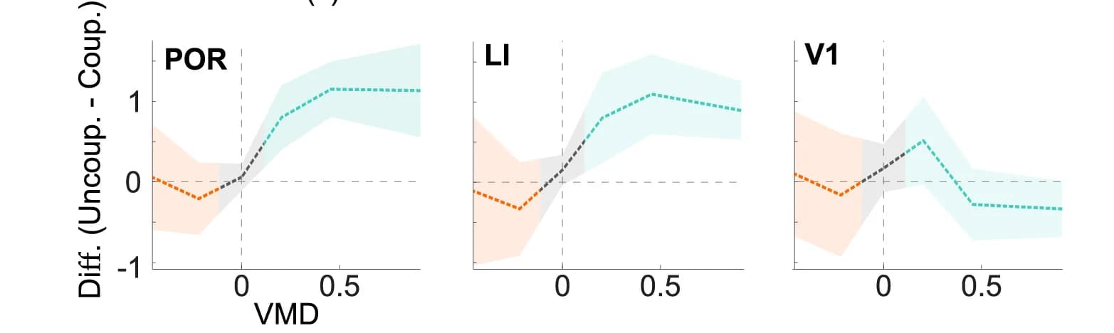 Open access visualization of Line Plot, Error Bars, Calcium Imaging, Visuo-motor Divergence
