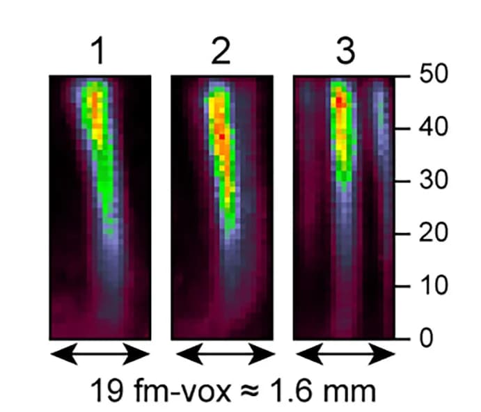 Open access visualization of Heatmap, Spectrogram, Three Dimensional Reconstruction, Flatmap Stack, Maximum Intensity Projection