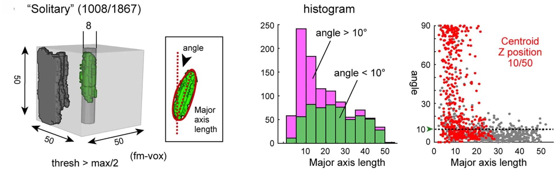 Open access visualization of Histogram, Scatter Plot, 3D Reconstruction, Binarized Tracer Signals, Connected Patches
