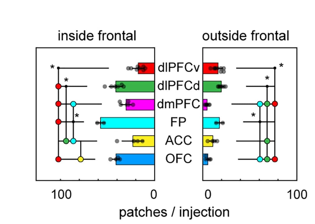 Open access visualization of Bar Plot, Error Bars, Clustered, Columnar Patches, PFC Subregions