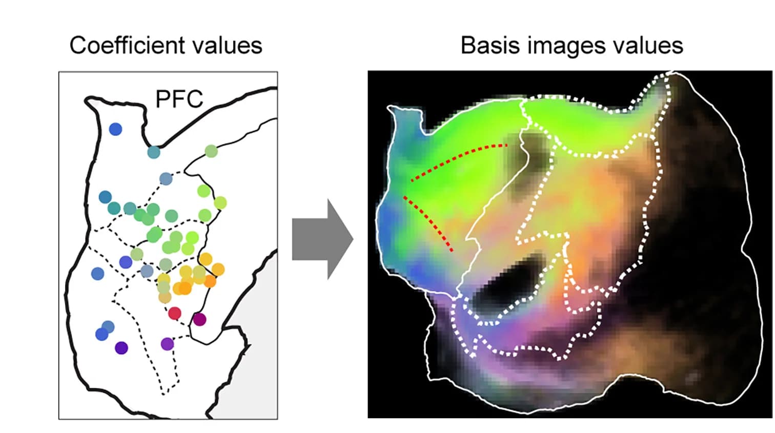 Open access visualization of Scatter Plot, Heatmap, Geo Map, Components, Cortical Locations