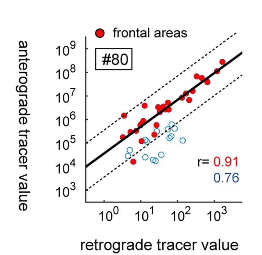 Open access visualization of Scatter Plot, Regression Plot, Anterograde Signals, Retrograde Signals, Log-Log-Scale