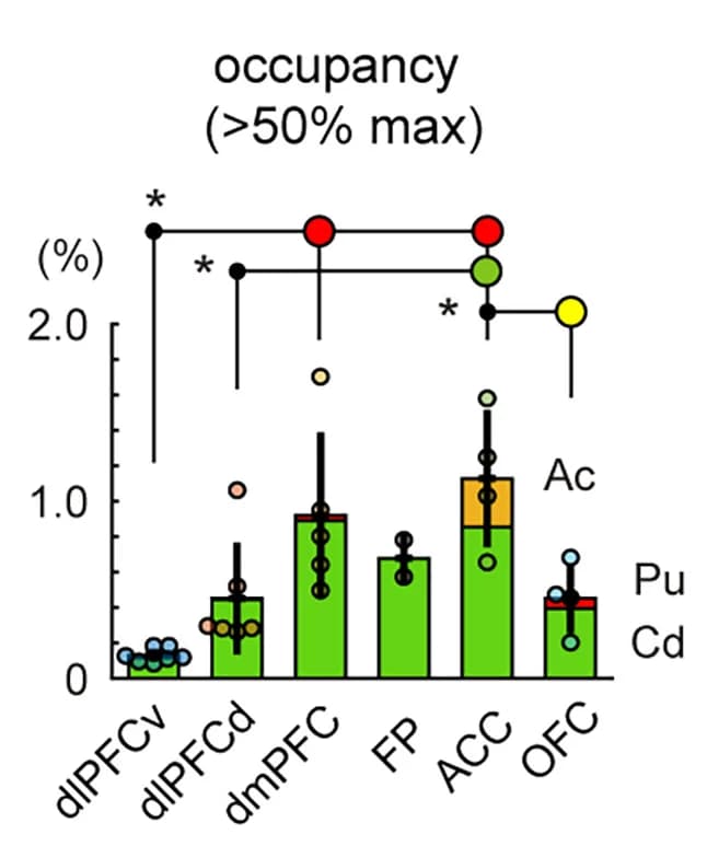 Open access visualization of Bar Plot, Error Bars, Striatal Volume, Caudate, Putamen
