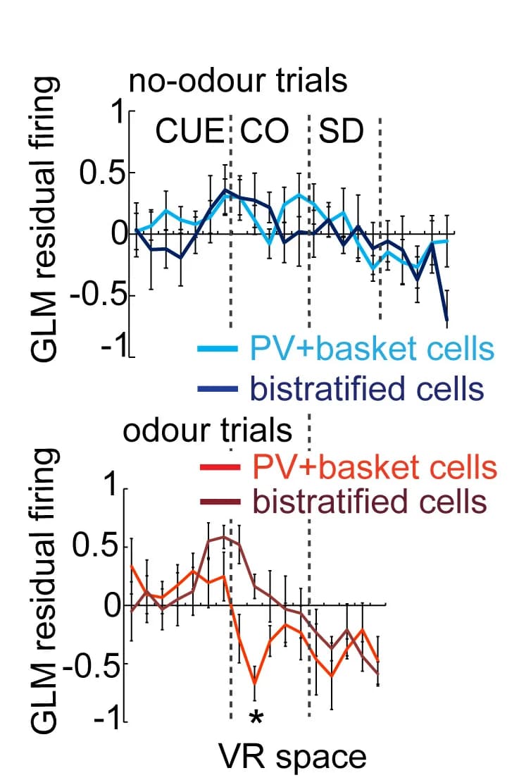 Open access visualization of Line Plot, Error Bars, GLM Residual Firing, PV+ Basket Cells, PV+ Bistratified Cells
