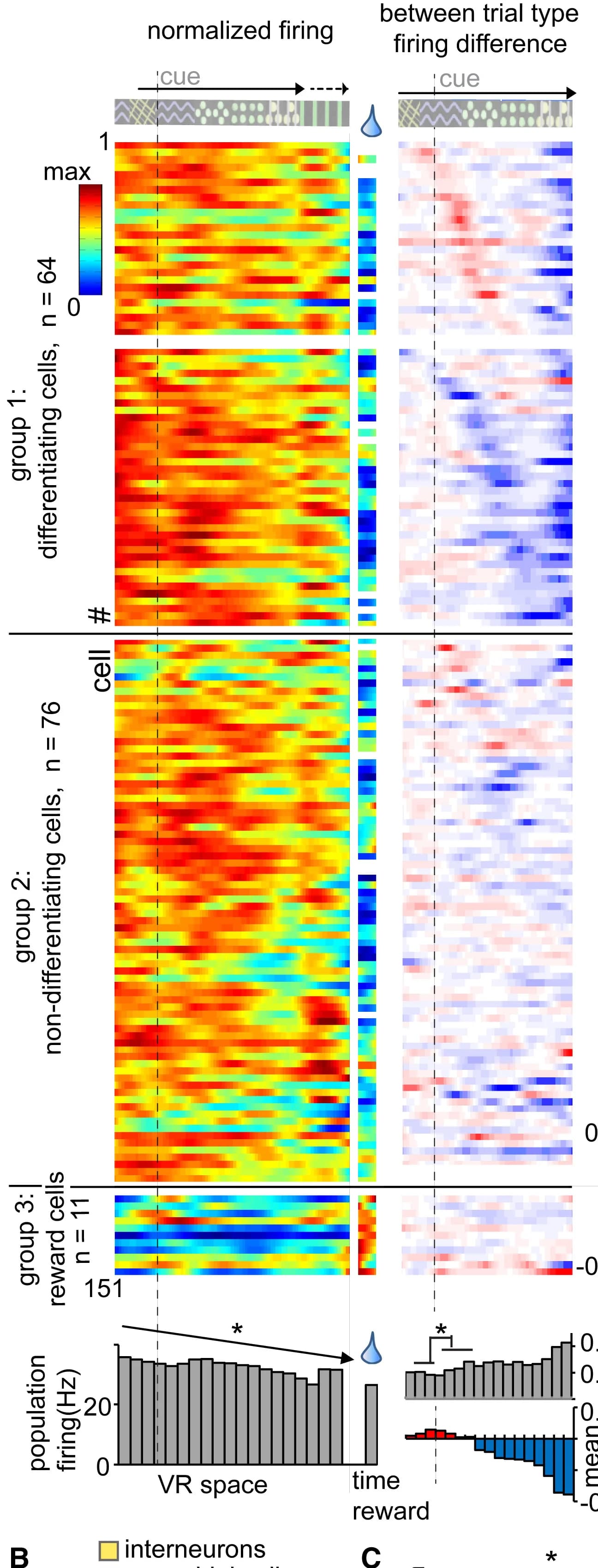 Open access visualization of Heatmap, Bar Plot, Error Bars, GABAergic Interneurons, Firing Rate