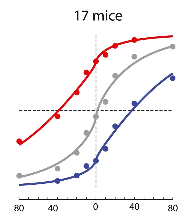 Open access visualization of Line Plot, Scatter Plot, Rightward Choices, Visual Contrast, Auditory Stimulus