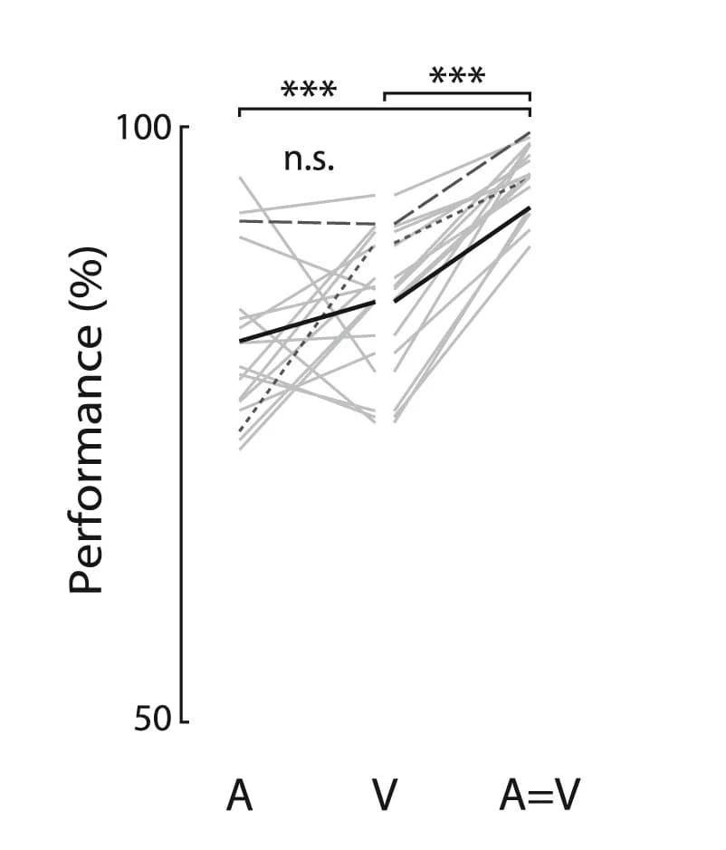 Open access visualization of Line Plot, Mouse Performance, Rewarded Trials, Stimulus Type