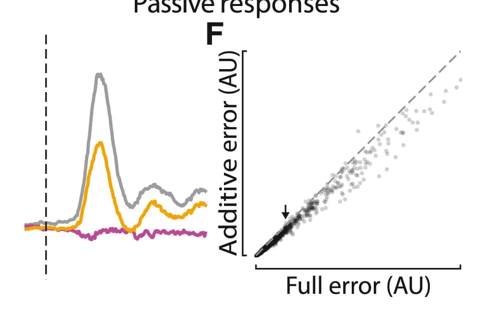 Open access visualization of Scatter Plot, Line Plot, Neurons, Models, Error