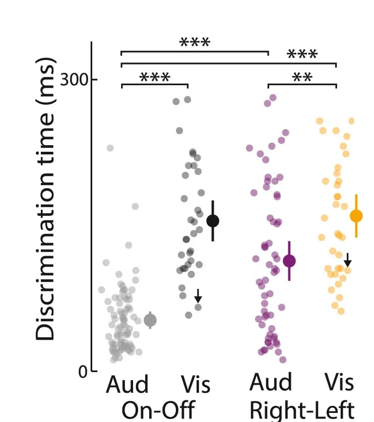 Open access visualization of Scatter Plot, Error Bars, Discrimination Time, Stimulus, Auditory Neurons