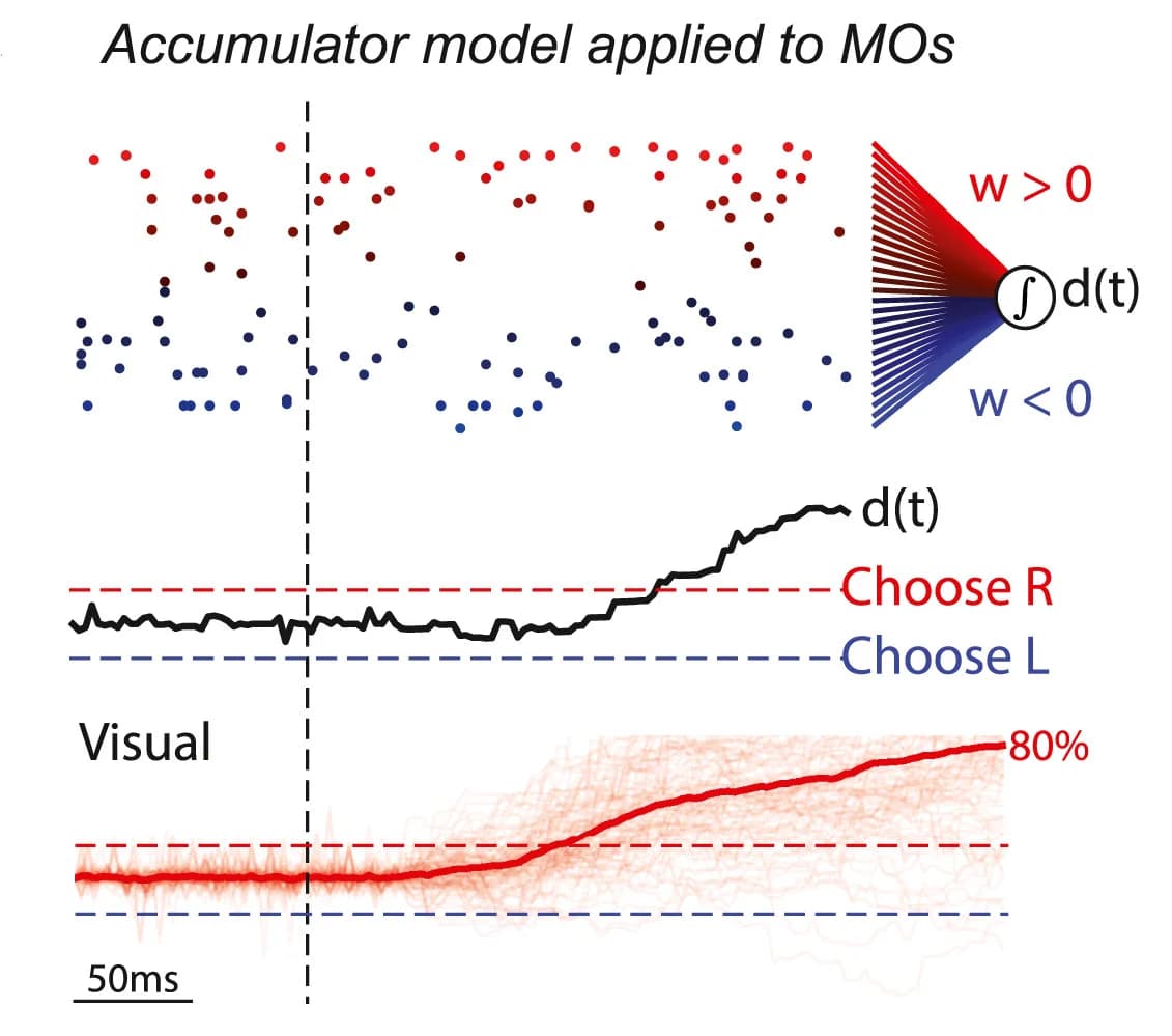 Open access visualization of Scatter Plot, Line Plot, Population Spike Train, Decision Variable, Stimulus Onset