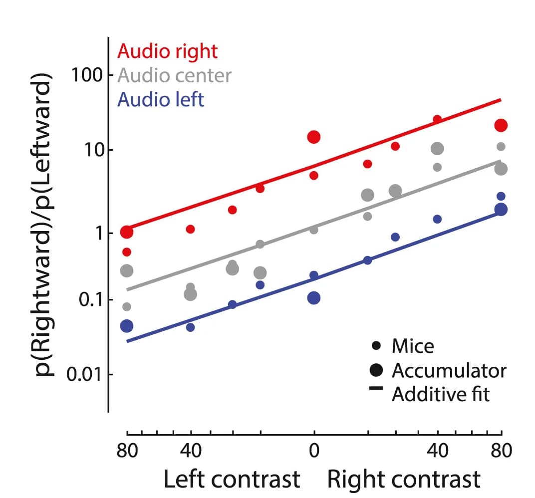 Open access visualization of Scatter Plot, Regression Plot, Bubble Plot, Line Plot, Mean Behavior