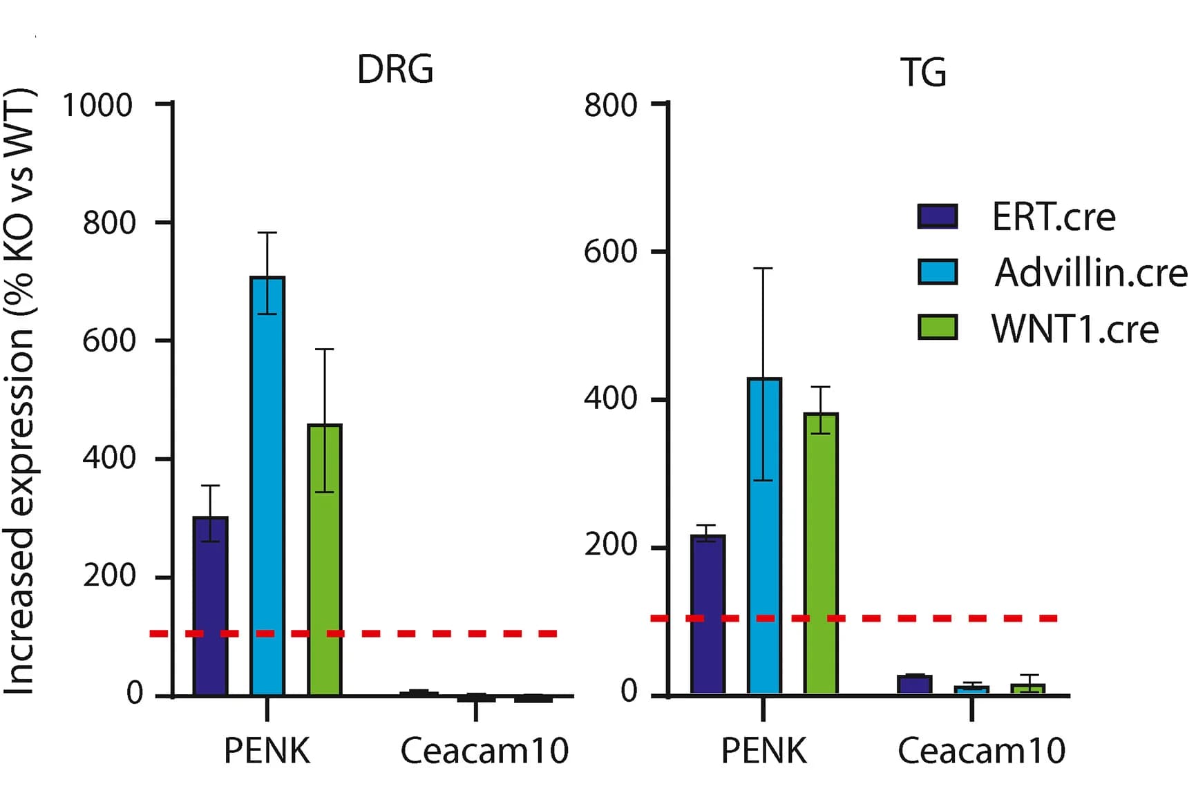 Open access visualization of Clustered, Error Bars, Penk, Ceacam10, DRGs