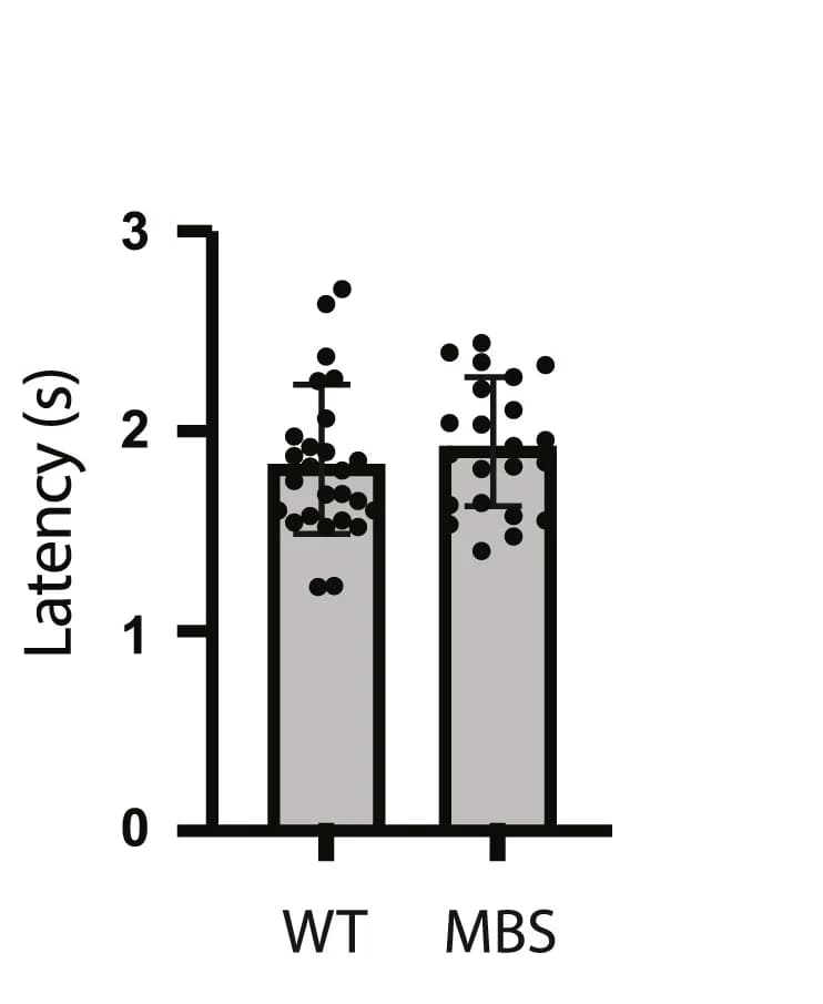 Open access visualization of Bar Plot, Error Bars, Tail Immersion, WT Mice, Nav1.7 MBS Mice