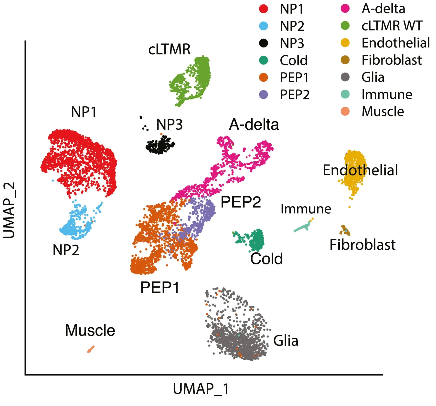 Open access visualization of UMAP, Scatter Plot, DRGs, WT Mice, Cell populations