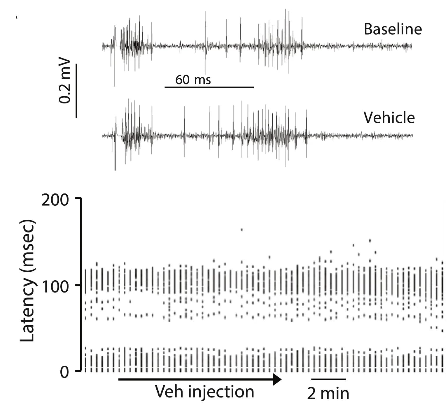 Open access visualization of Scatter Plot, Line Plot, WDR Dorsal Horn Neuron, Electrical Stimulation, Hind Paw