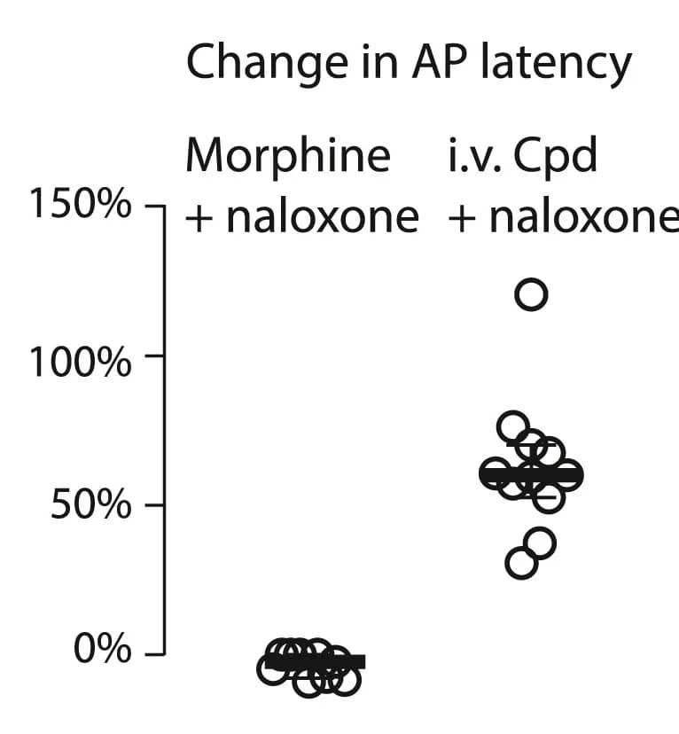 Open access visualization of Scatter Plot, AP Latency, Morphine, GNE-3565, Mice