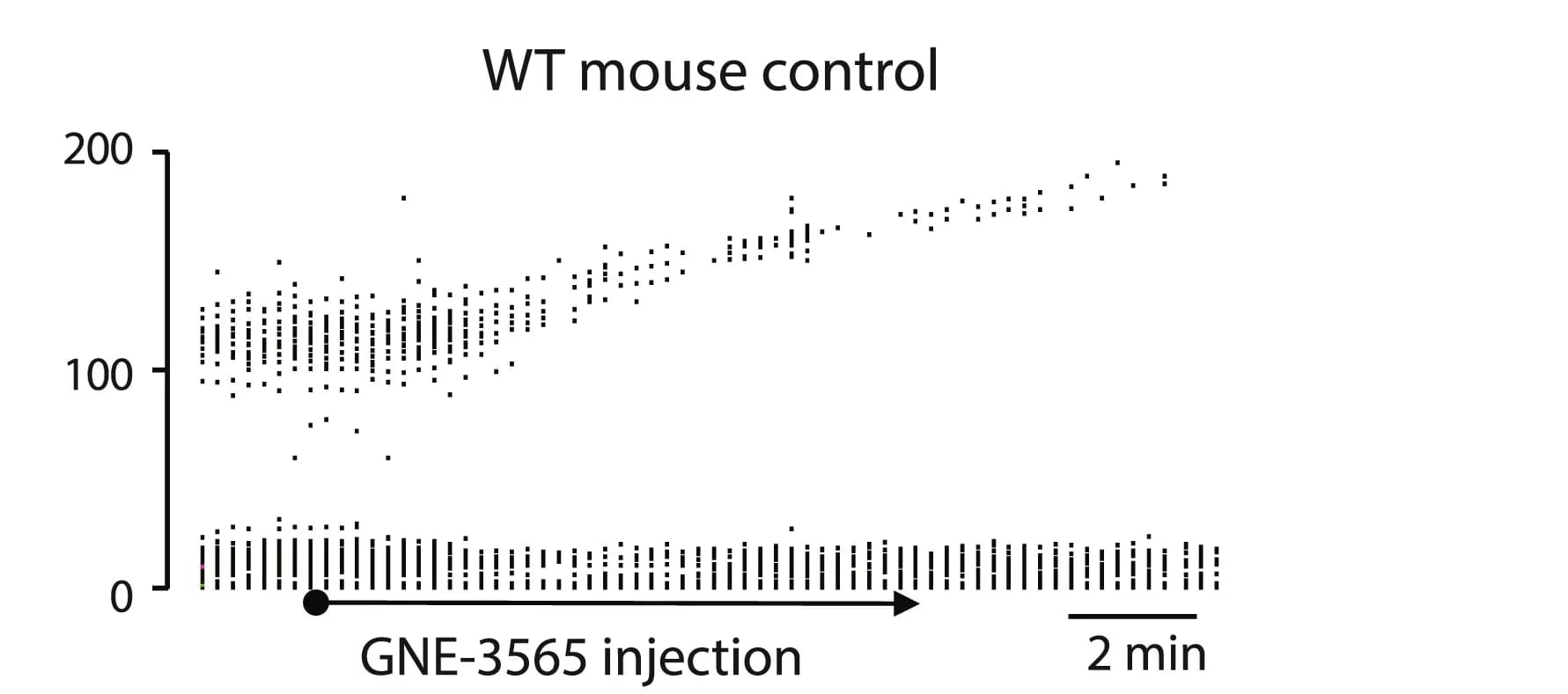 Open access visualization of Scatter Plot, Control Experiment, WT Mouse, MBS Mouse