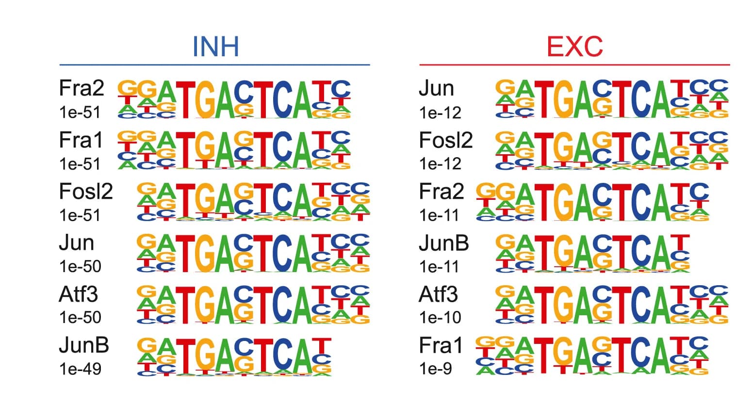 Open access visualization of Illustration, TFBS Motifs, Enhancers, GABAergic Neurons, Glutamatergic Neurons