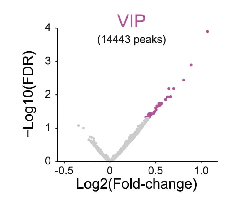Open access visualization of Volcano Plot, Scatter Plot, Sensory-Regulated H3K27Ac ChIP-seq Peaks, Visual Cortex, VIP Interneurons