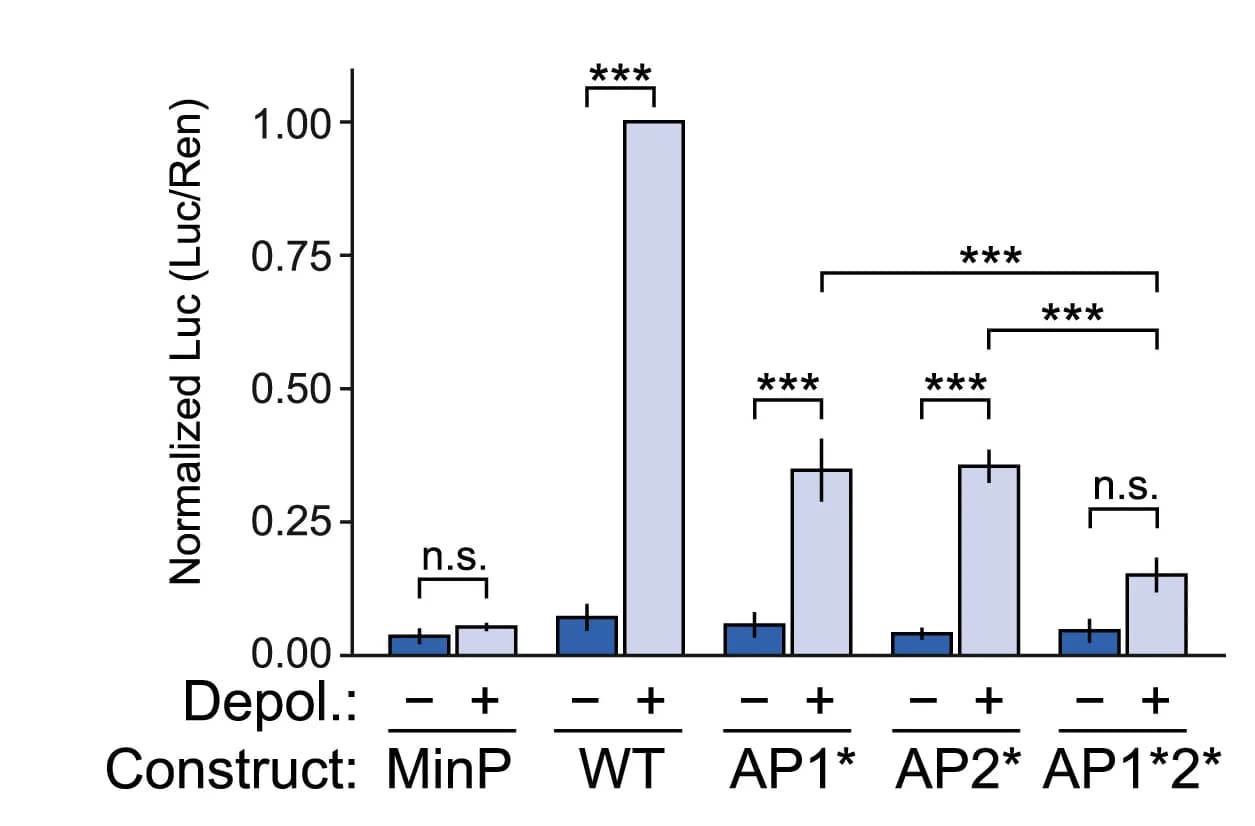 Open access visualization of Bar Plot, Error Bars, Clustered, Luciferase Activity, Depolarization
