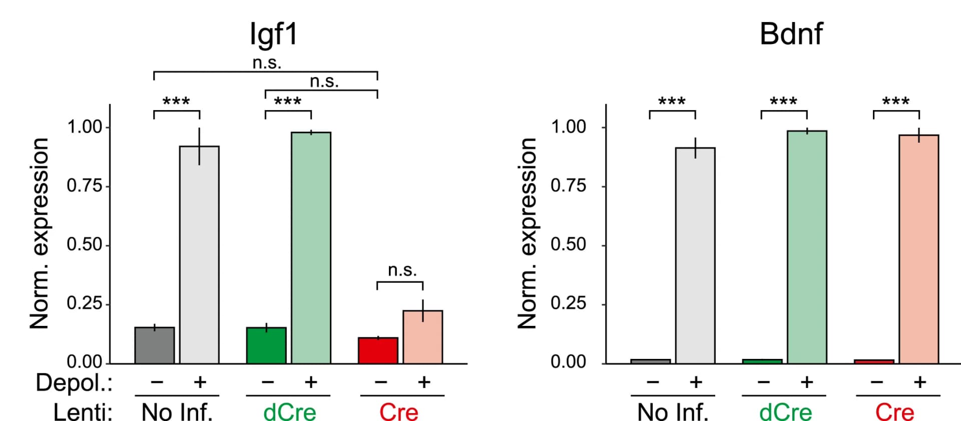 Open access visualization of Bar Plot, Error Bars, Igf1 Expression, Bdnf Expression, Depolarization
