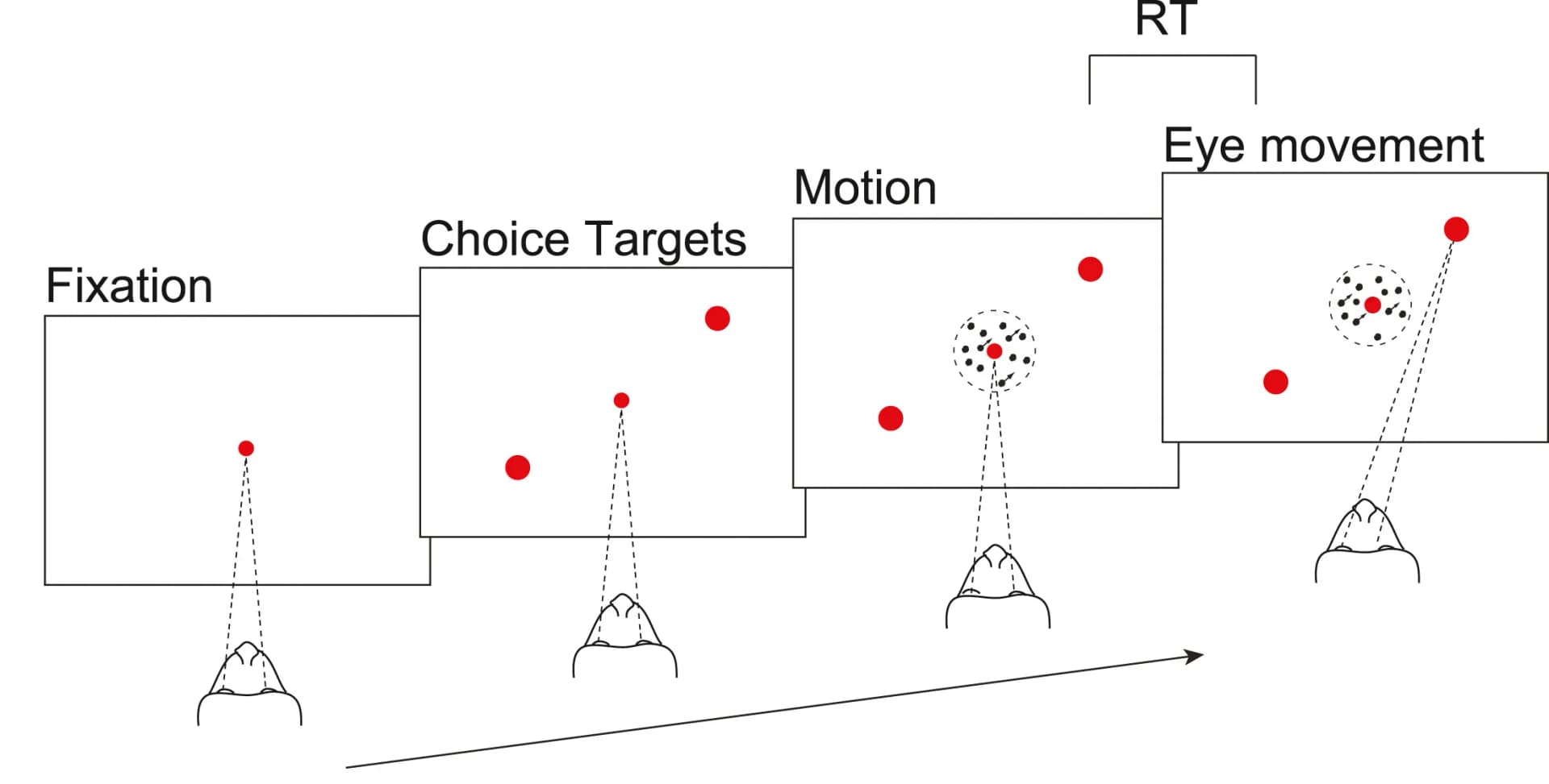Open access visualization of Workflow, Illustration, RT motion discrimination task, Saccade, Choice targets