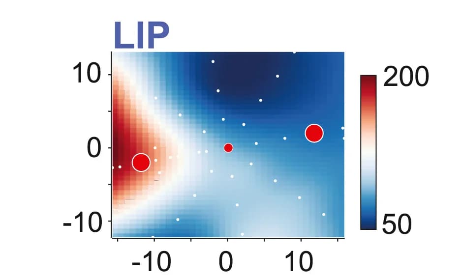 Open access visualization of Heatmap, Scatter Plot, Bubble Plot, Receptive field, Lateral intraparietal area Neuron