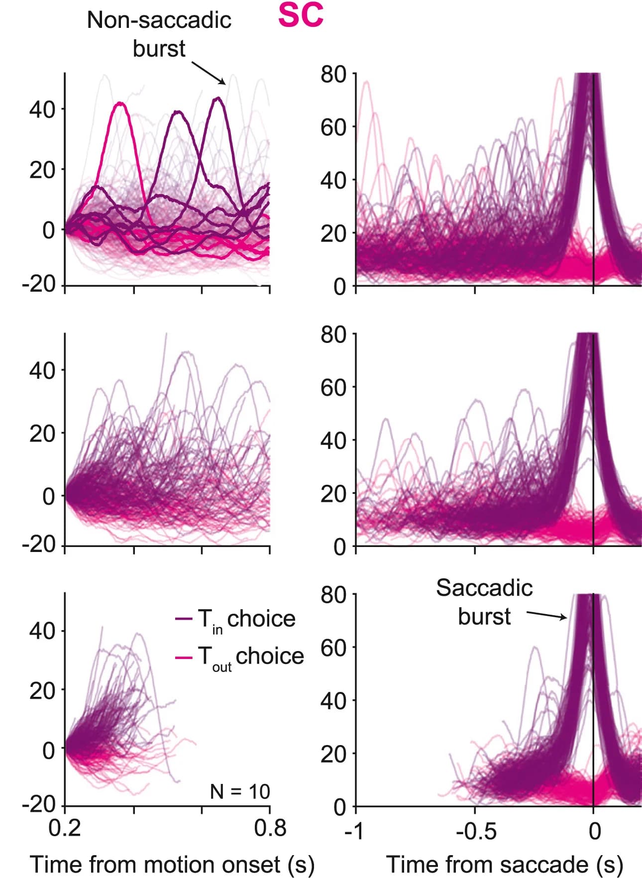 Open access visualization of Line Plot, SC Neurons, Saccadic Bursts, Non-Saccadic Bursts, Decision Making