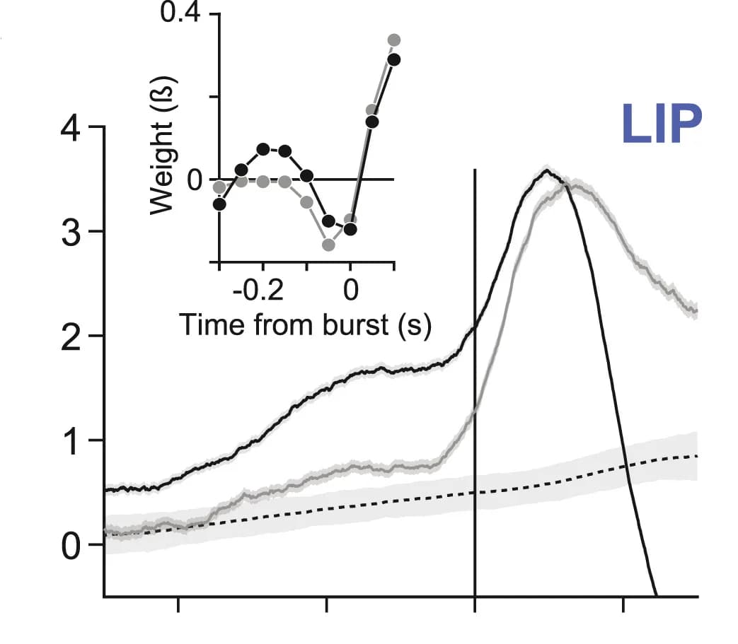 Open access visualization of Line Plot, Error Bars, LIP, SC, Saccadic Bursts