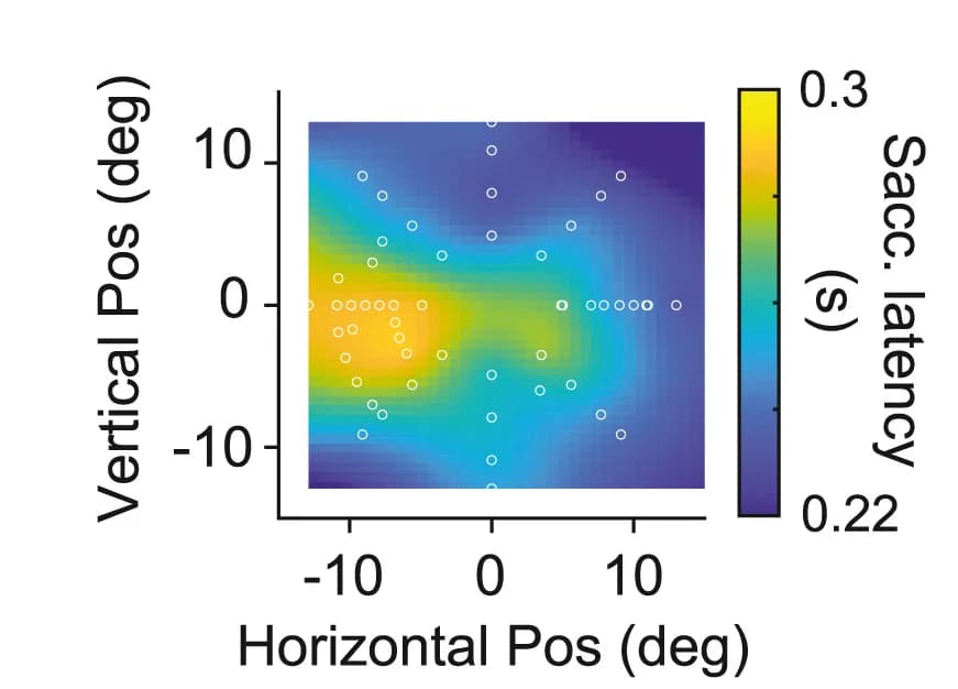 Open access visualization of Heatmap, Scatter Plot, Saccadic Latencies, Instructed Delayed Saccade Task, Visual Field