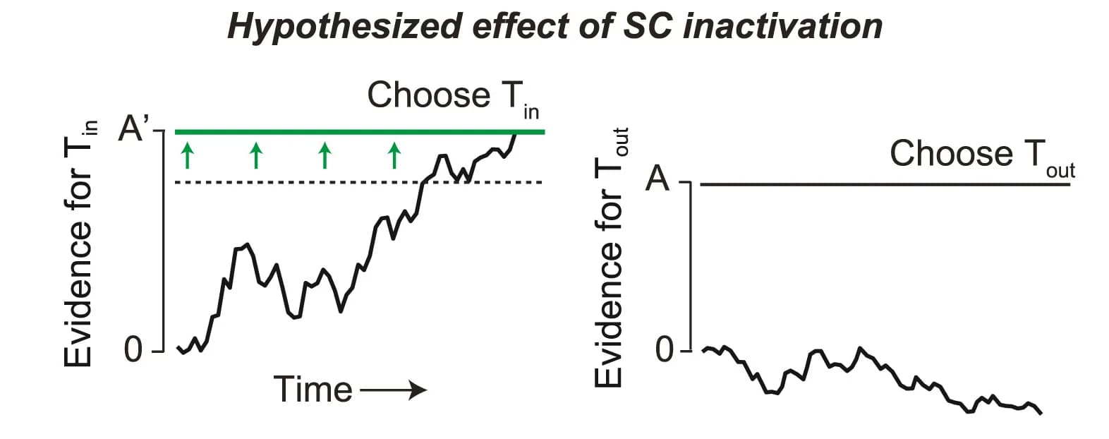 Open access visualization of Line Plot, Decision Threshold, Tinchoices, Toutchoices, Signal Detection