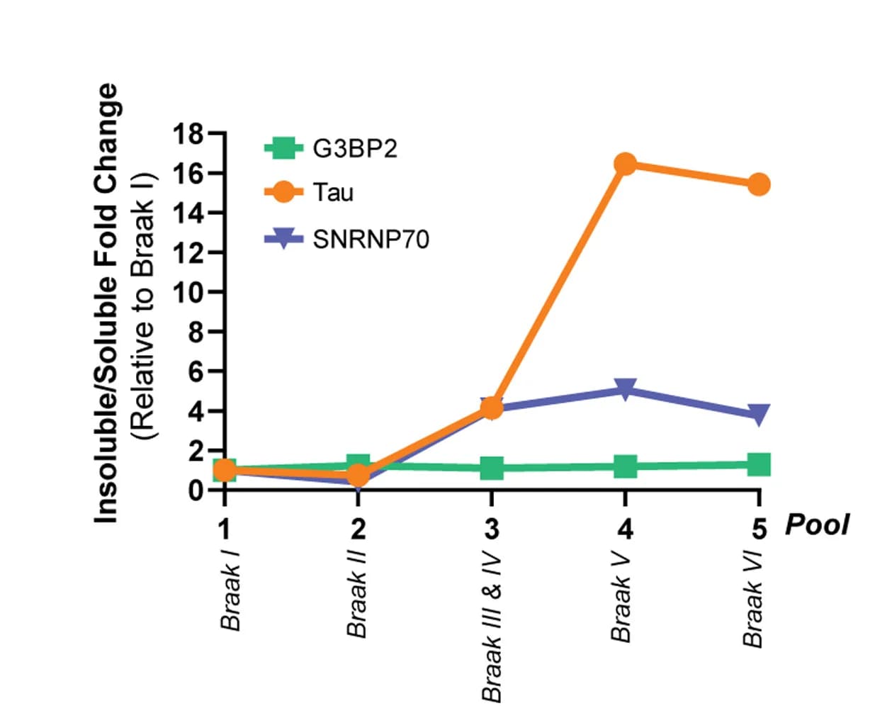 Open access visualization of Line Plot, G3BP2, Tau, SNRNP70, Sarkosyl-soluble fraction