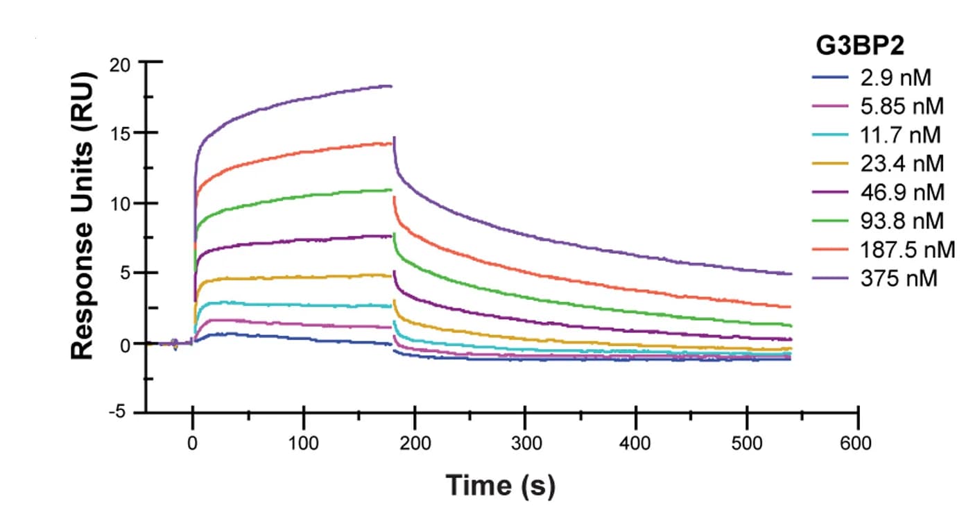 Open access visualization of Line Plot, SPR sensorgram, Tau, G3BP2, Protein Interaction