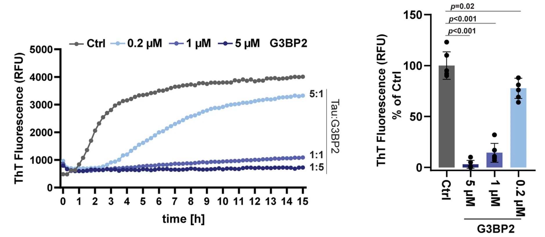 Open access visualization of Bar Plot, Line Plot, Error Bars, Kinetics, G3BP2