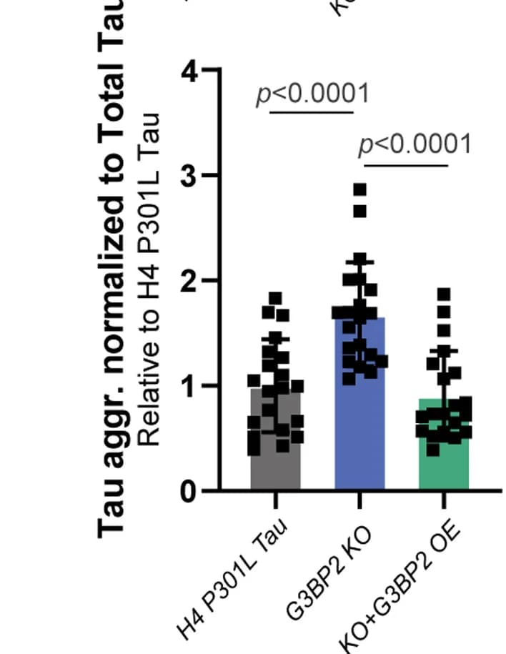 Open access visualization of Bar Plot, Scatter Plot, Error Bars, Tau Aggregation, Tau Seeding Assay