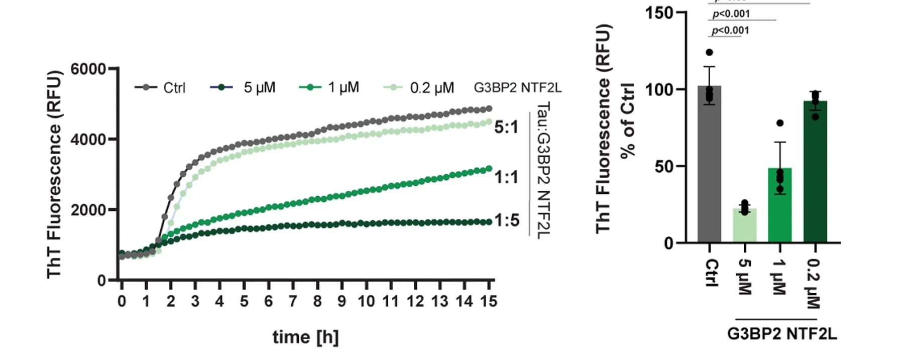 Open access visualization of Line Plot, Error Bars, Bar Plot, Kinetics, G3BP2