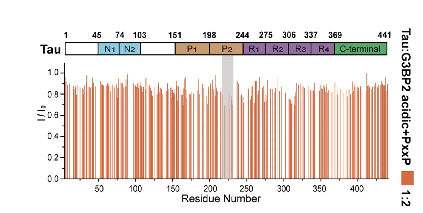Open access visualization of Bar Plot, HSQC, Tau, G3BP2, NTF2-like domain