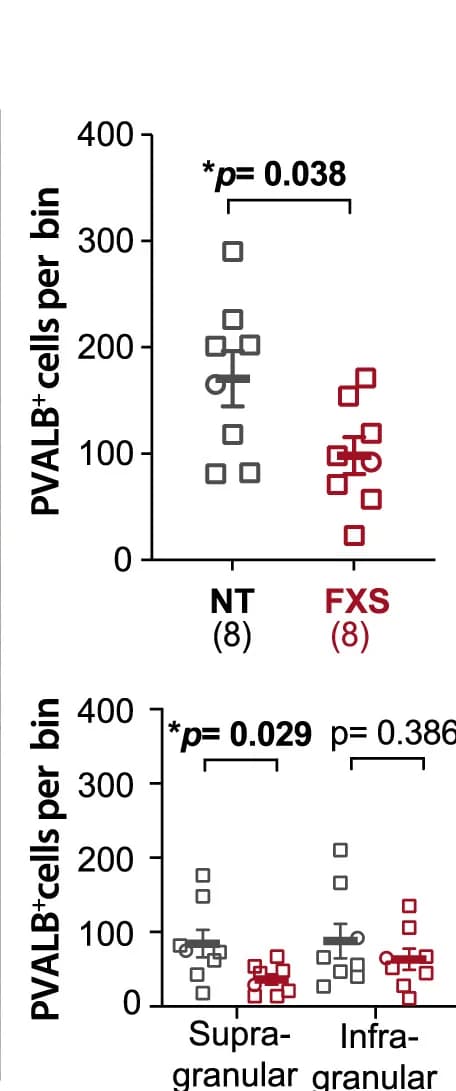 Open access visualization of Scatter Plot, Error Bars, PVALB+ Cells, BA3, FXS Cases