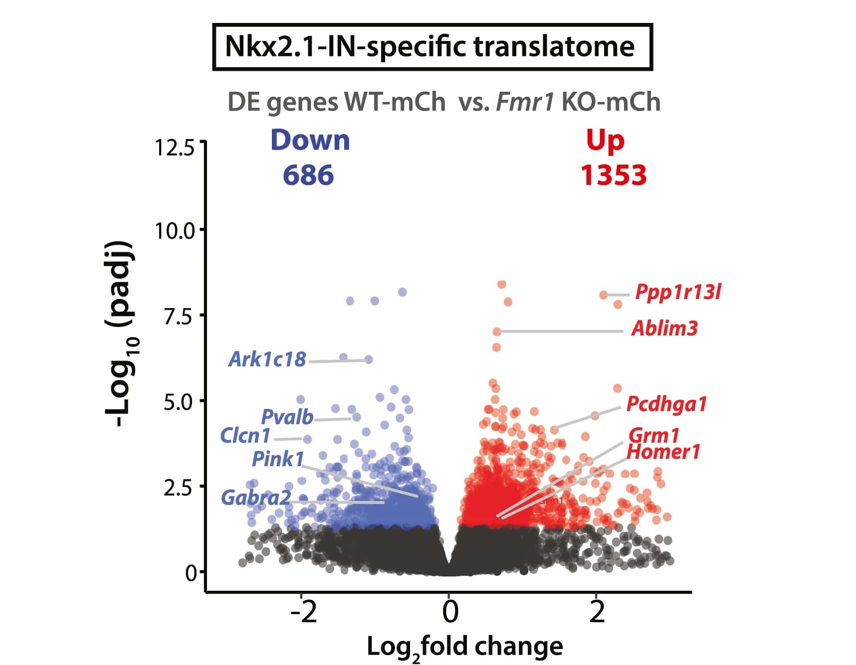 Open access visualization of Volcano Plot, Scatter Plot, Differentially Expressed Genes, Nkx2.1-IN-specific Translatome, Fmr1KO-mCherry Mice