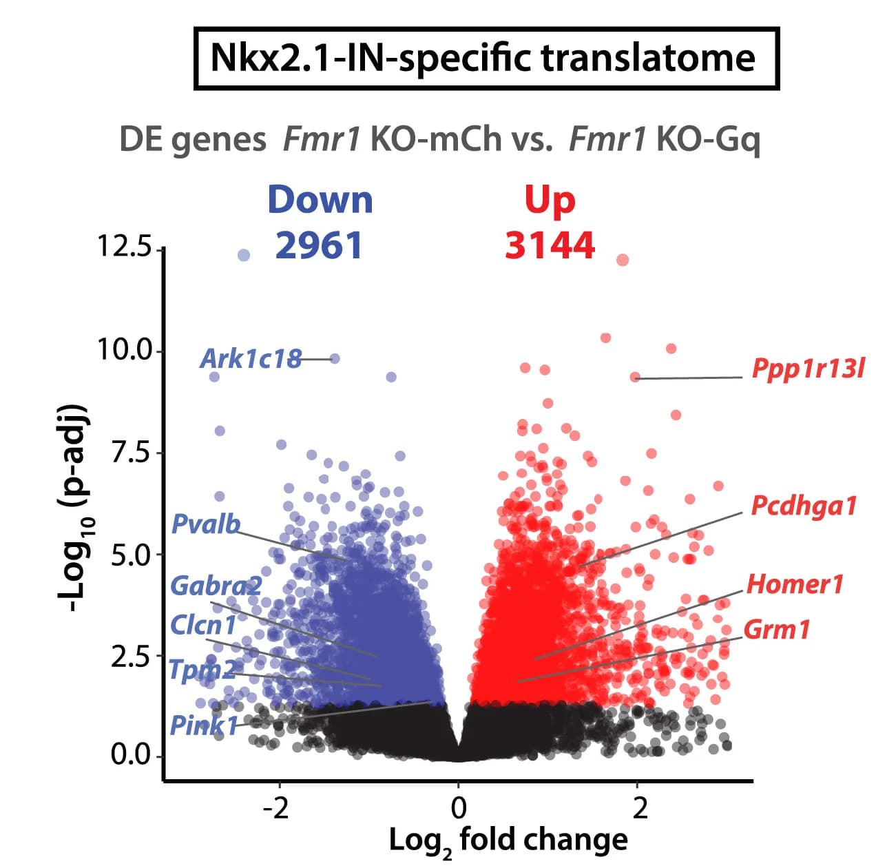 Open access visualization of Volcano Plot, Scatter Plot, DE Genes, Nkx2.1-IN, Translatome