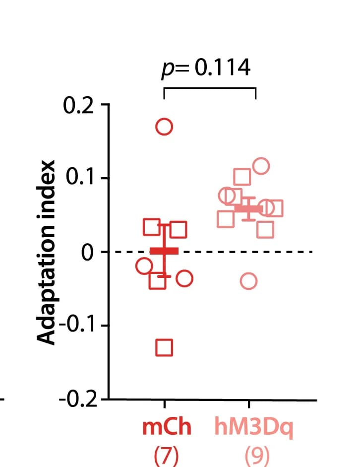 Open access visualization of Scatter Plot, Error Bars, Neuronal Adaptation Index, Pyr Cells, Whisker Stimulation