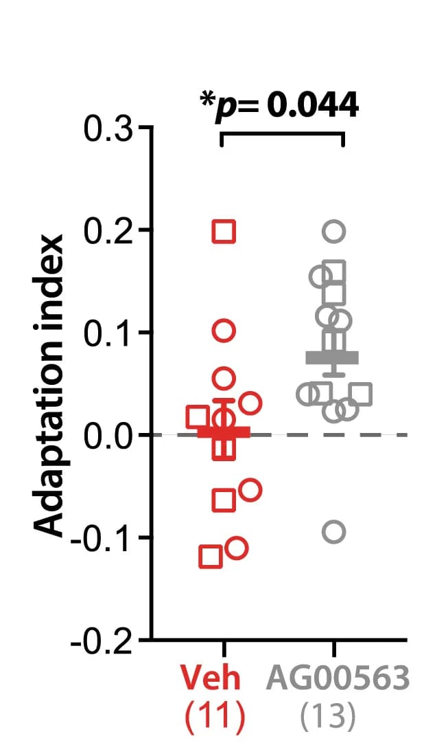 Open access visualization of Scatter Plot, Error Bars, Adaptation Index, Pyr Cells, Fmr1KO Mice