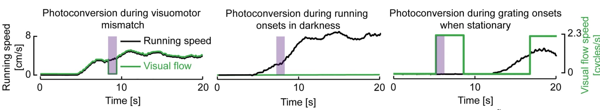 Open access visualization of Line Plot, Line Step, Experimental Groups, Functional Tagging, Photoconversion