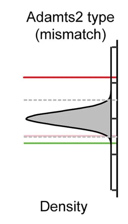 Open access visualization of Density Plot, Line Plot, L2/3 Adamts2 Cell, Photoconversion, Visuomotor Mismatch