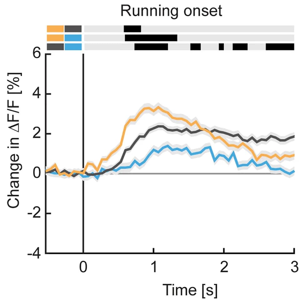Open access visualization of Line Plot, Error Bars, Running onsets