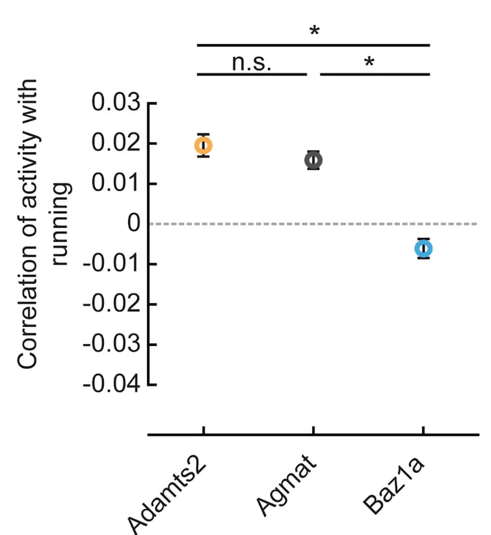 Open access visualization of Scatter Plot, Error Bars, Neuronal activity, Running, Open-loop sessions